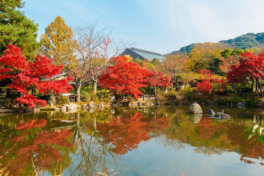 Maruyama Parkı