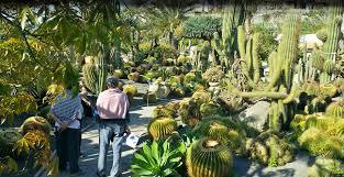 Ravino Botanik Bahçesi