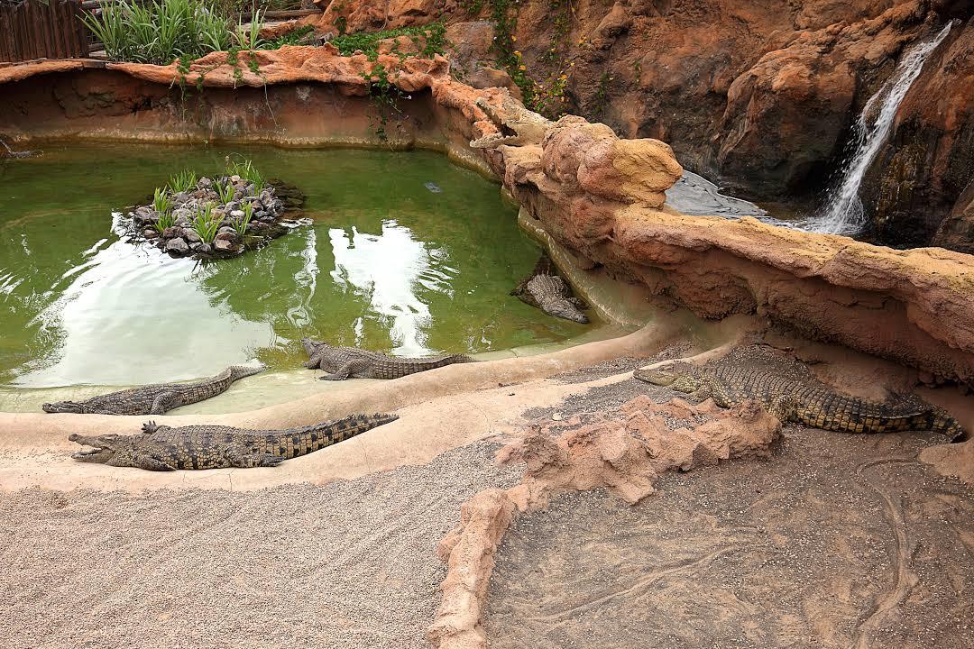 Rancho Texas Lanzarote Park Hayvanat Bahçesi