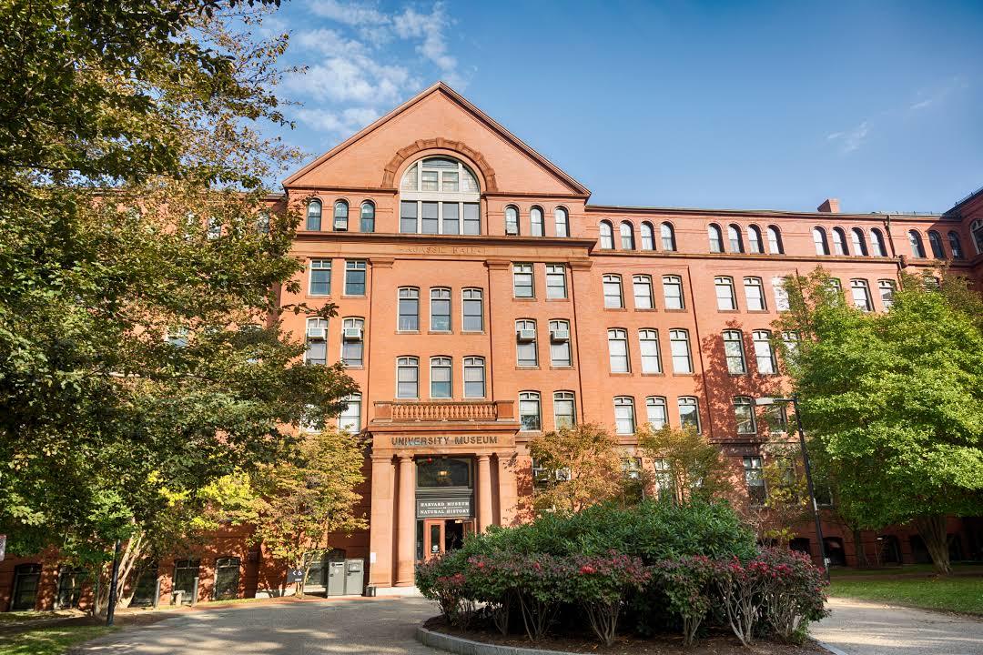 Harvard Doğal Tarih Müzesi