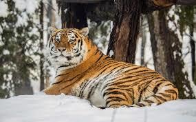 Ljubljana Hayvanat Bahçesi