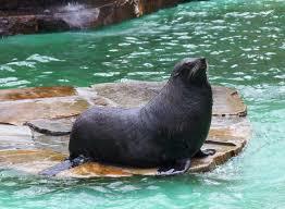 Dortmund Hayvanatbahçesi