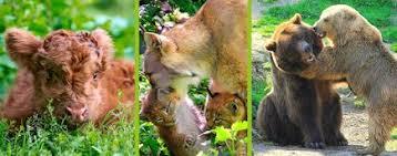 Olderdissen Hayvan Parkı