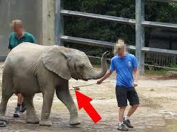 Wuppertal Hayvanat Bahçesi