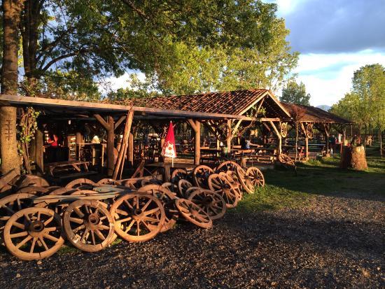 Düş Yolcusu Çiftliği