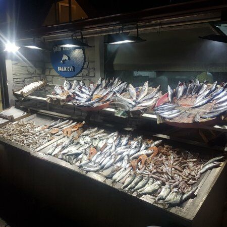 Şirin Ereğli Balık Evi