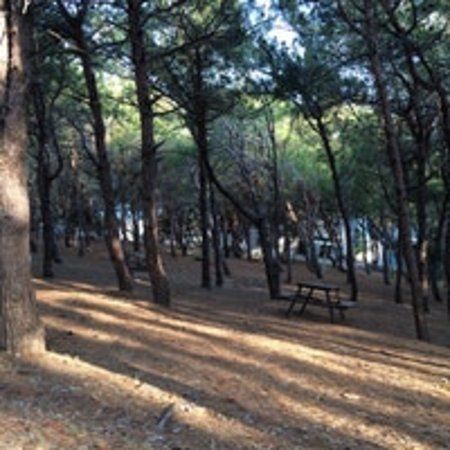 Karataş Tabiat Parkı