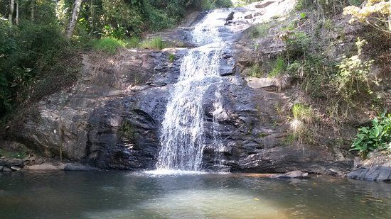 Floresta Nacional de Passa Quatro