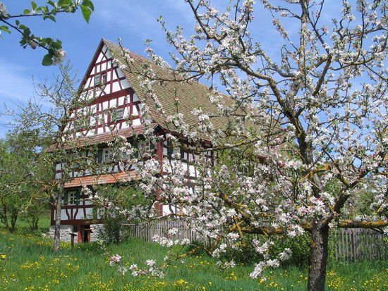 Freilichtmuseum Neuhausen ob Eck