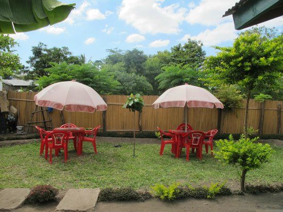 Blue Turaco Pizza Point