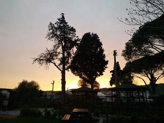 Kleopatra Cafe Restaurant