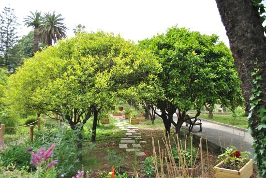 Jardin du Palais Carnolès