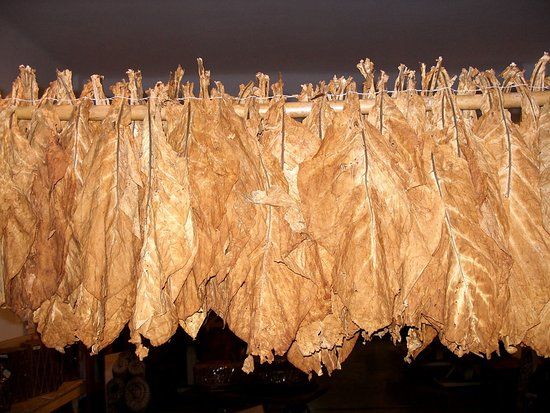 Kavala Belediyesi Tütün Müzesi