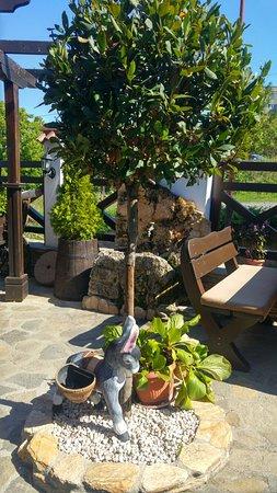 Restorant Vodenicata