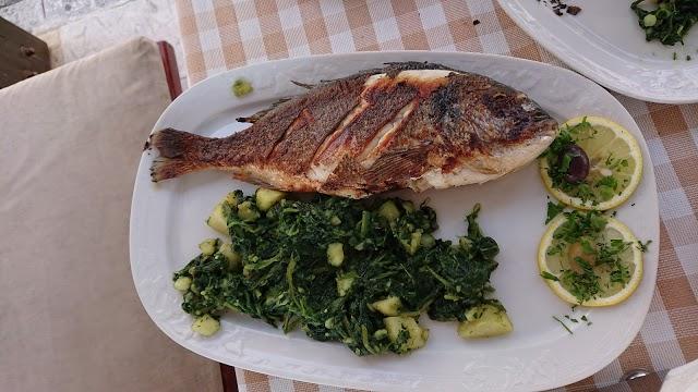 Pizzeria Montenegro 8