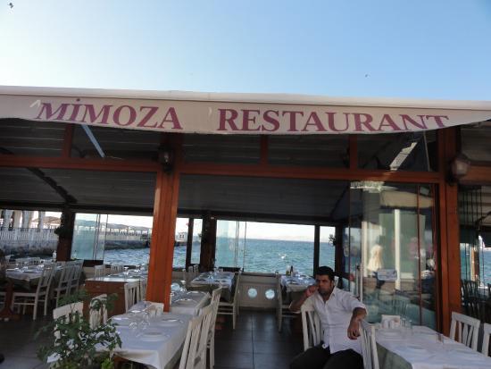 Mimoza Restaurant
