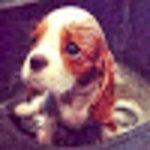 Papazın Evi Bistro Cafe