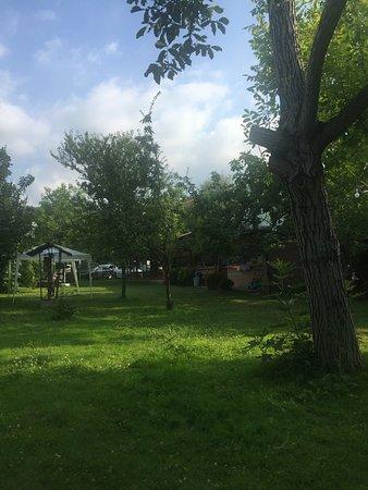 Şahin Islama Köfte