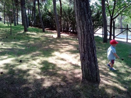 Selanik Hayvanat Bahçesi