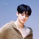 Pulipchae Goejeong