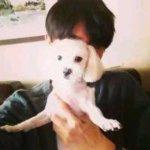 Ding Fu Mei Shi Guang Chang