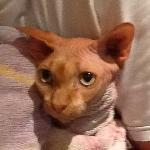 Thierry's Wein & Kulinarik