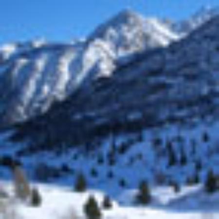 The Bentley Room Restaurant