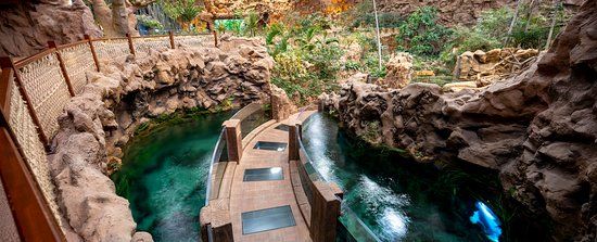 Poema Del Mar Akvaryumu