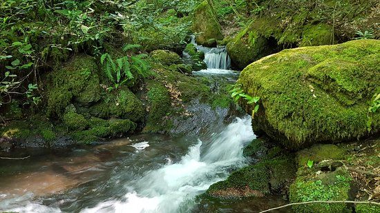 Aydınpınar Şelaleleri Tabiat Parkı