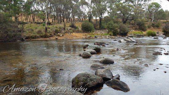Thredbo River Track