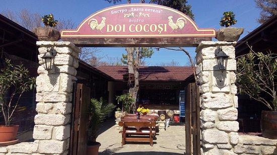 Restaurant Doi Cocosi