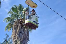 Lizbon Hayvanat Bahçesi