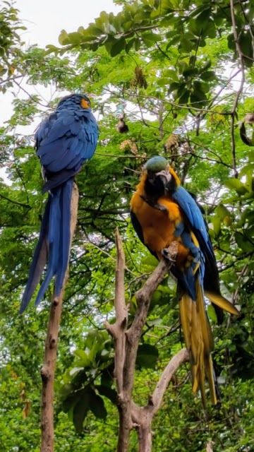 Guayaquil Tarih Parkı