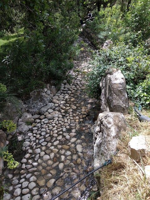 Jerusalem Botanik Bahçesi