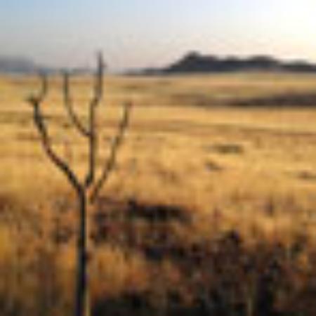 Ofis Ocakbaşı ve Çiğ Köfte Salonu