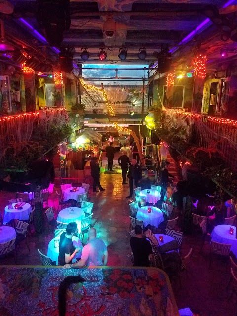 Mango's Tropical Cafe