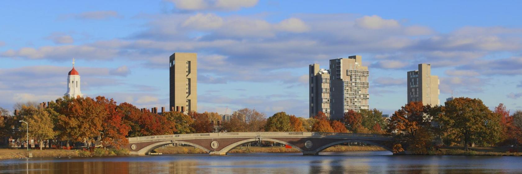 Harvard Üniversitesi