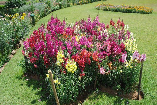 Nuwara Eliya Victoria Parkı