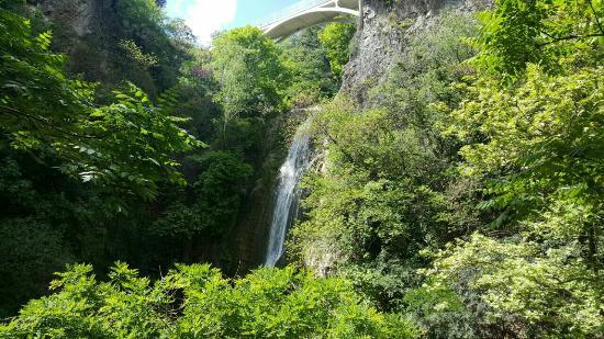 Gürcistan Milli Botanik Bahçesi