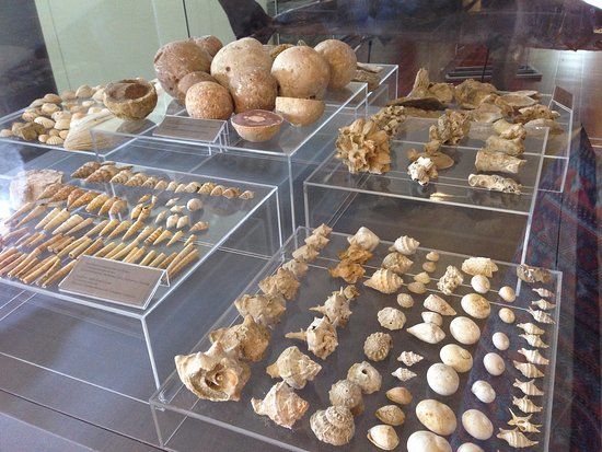 THALASSA Belediye Müzesi