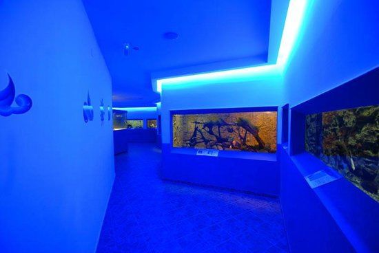 Protaras Ocean Akvaryumu