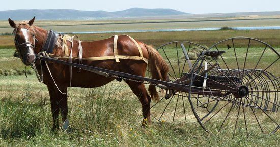 Kuyucuk Gölü Doğal Hayatı Koruma Alanı