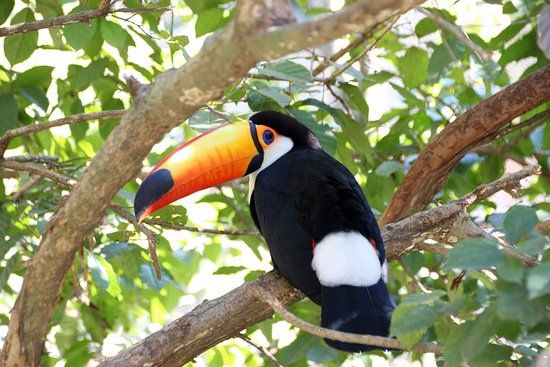 Santa Cruz Hayvanat Bahçesi