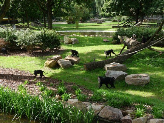 Dresden Hayvanat Bahçesi