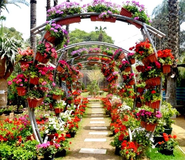 Orman Botanik Bahçeleri