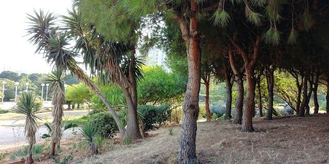 Horsh Beirut Parkı