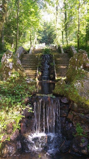 Bussaco Ulusal Ormanı