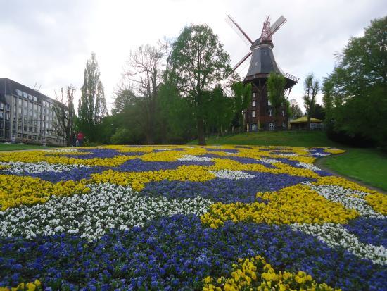 Am Wall Yel Değirmeni