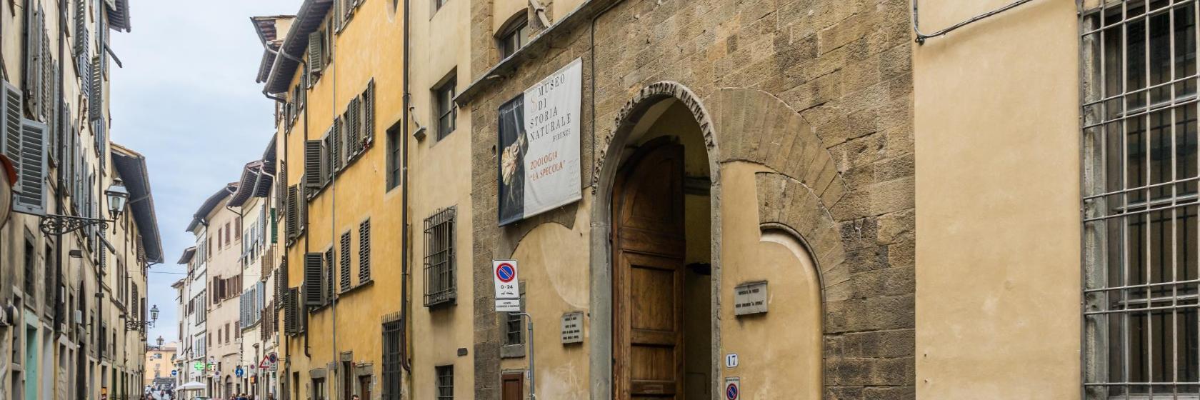 Doğal Tarih Müzesi