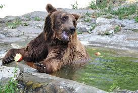 Varna Hayvanat Bahçesi